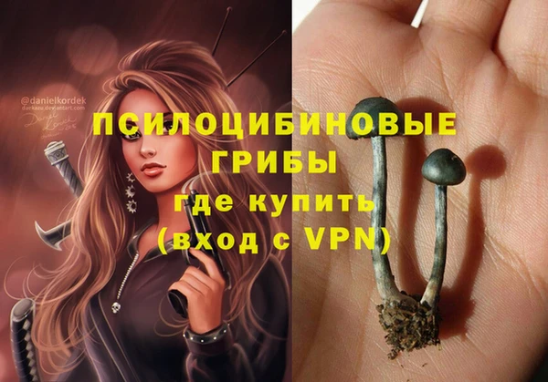 скорость Бородино
