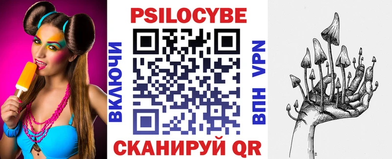 продажа наркотиков  Нестеров  Псилоцибиновые грибы GOLDEN TEACHER 